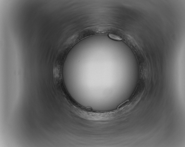 X0000115760044200911201207