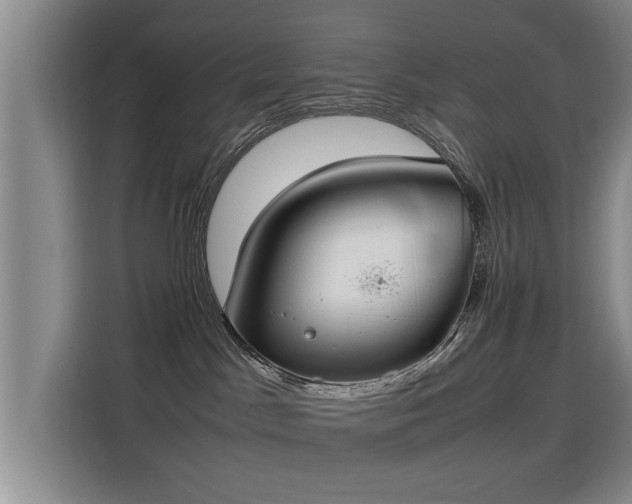 X0000115760045200911201207