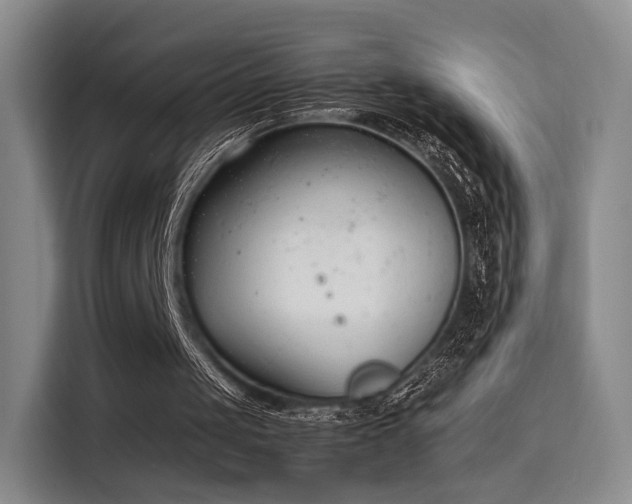 X0000115760049200911201206