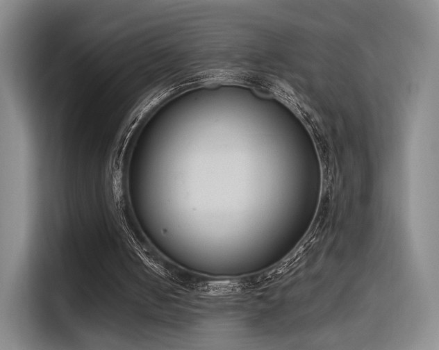 X0000115760050200911201206