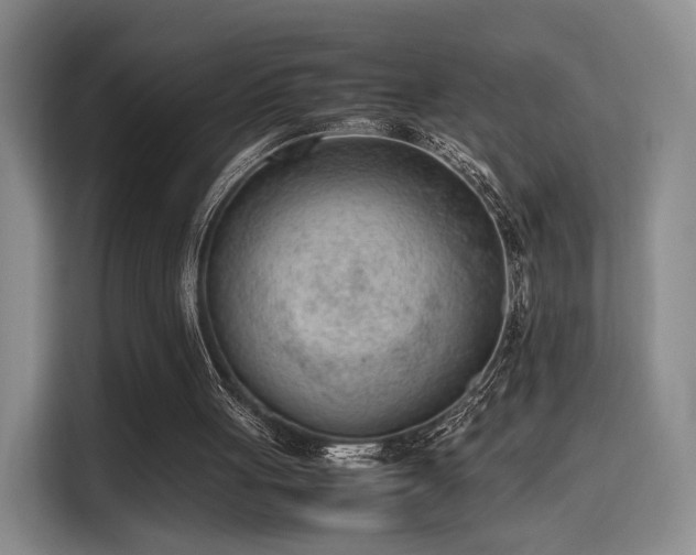 X0000115760051200911201206