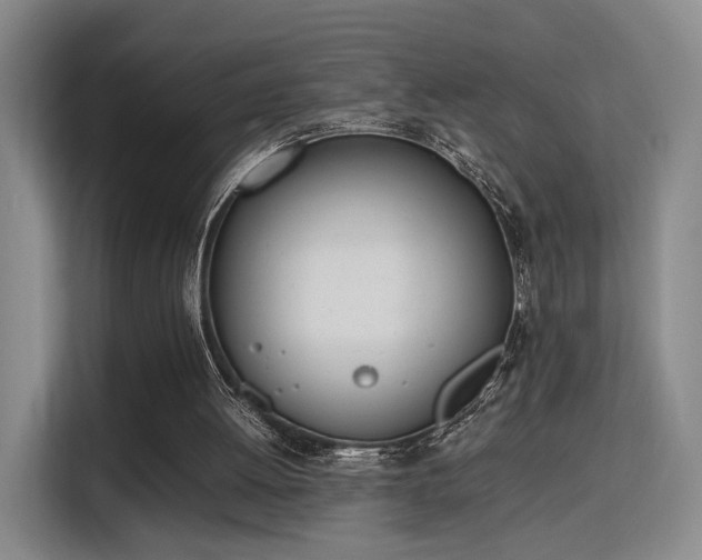 X0000115760052200911201206