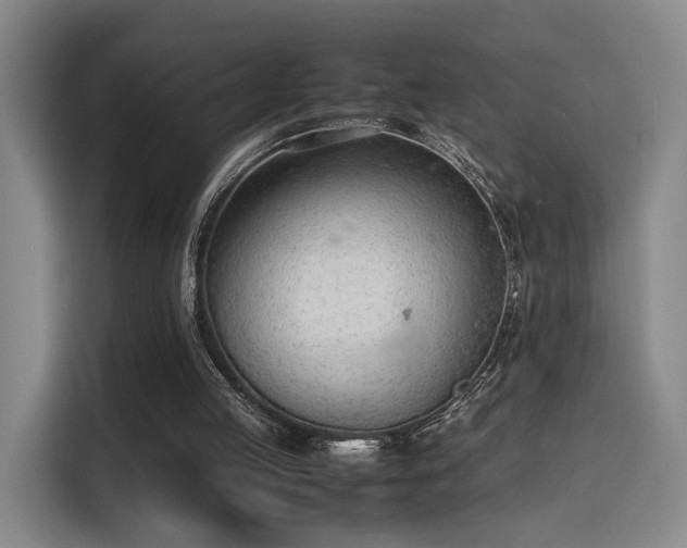 X0000115760053200911201206