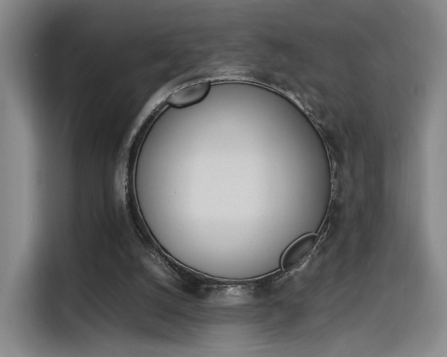 X0000115760056200911201206