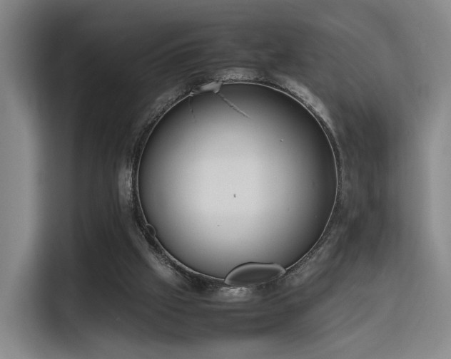 X0000115760057200911201206