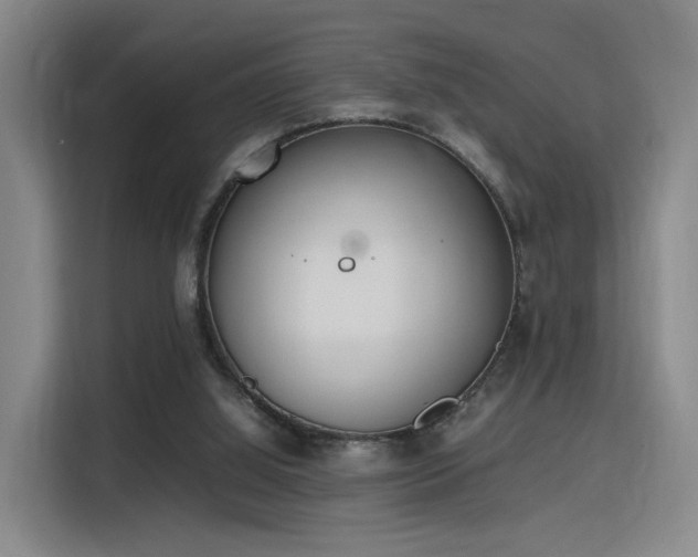 X0000115760060200911201207