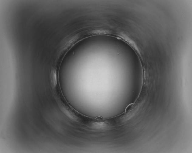 X0000115760061200911201207
