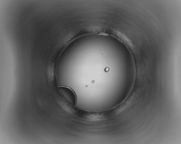 X0000115760065200911201207