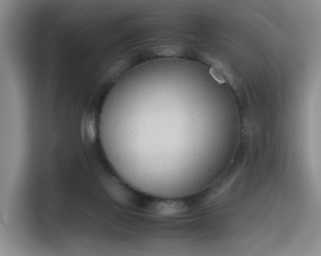 X0000115760069200911201207