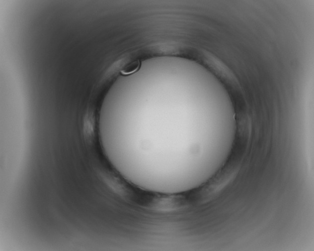 X0000115760072200911201207