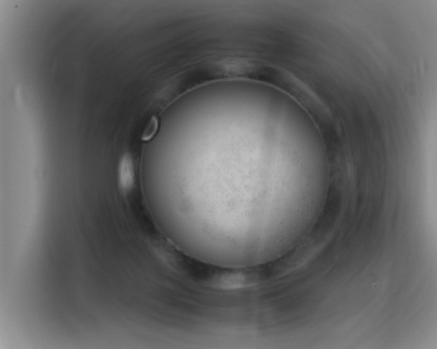 X0000115760075200911201207