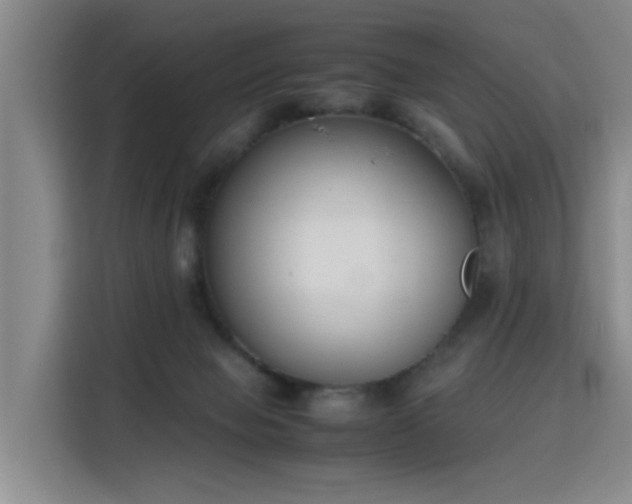 X0000115760077200911201207