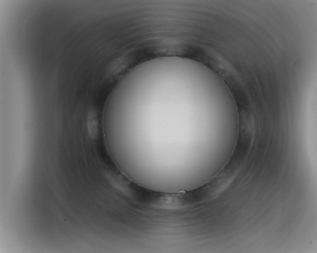 X0000115760080200911201207