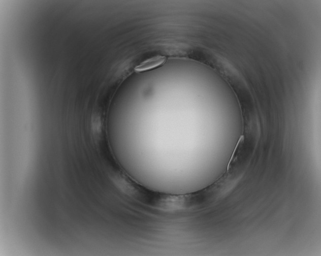 X0000115760084200911201207