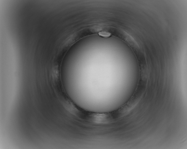 X0000115760085200911201207