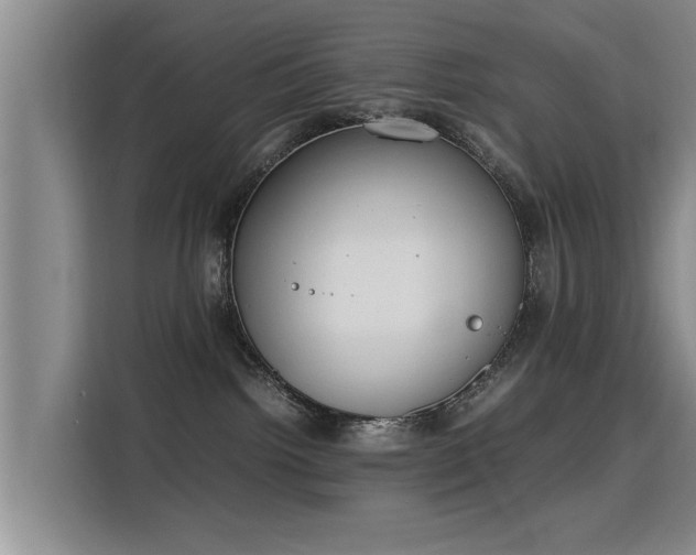 X0000115760092200911201207