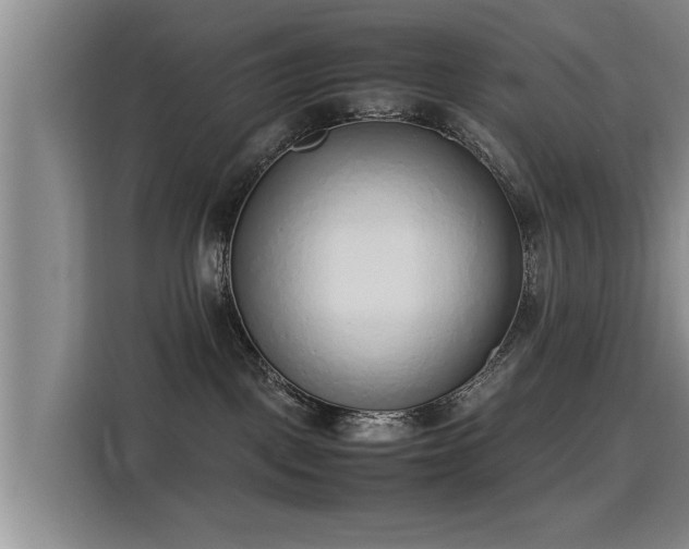 X0000115760093200911201207