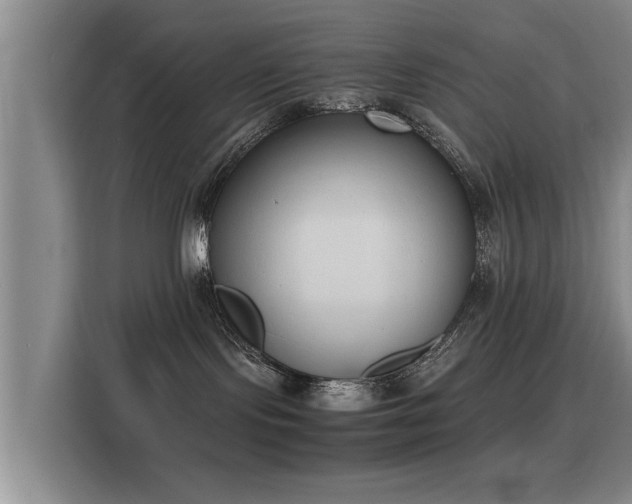 X0000115760095200911201207