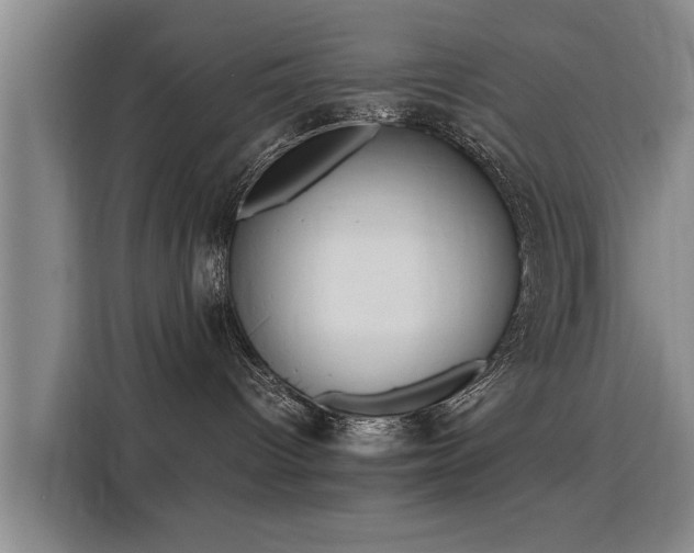 X0000115760096200911201207