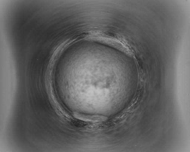 X0000115760097200911201206
