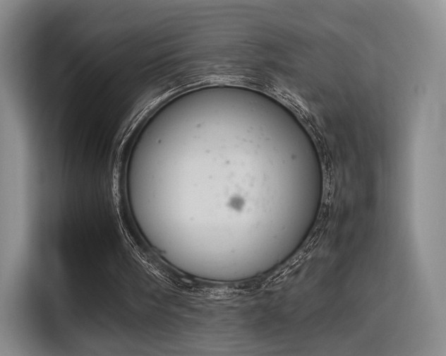 X0000115760098200911201206