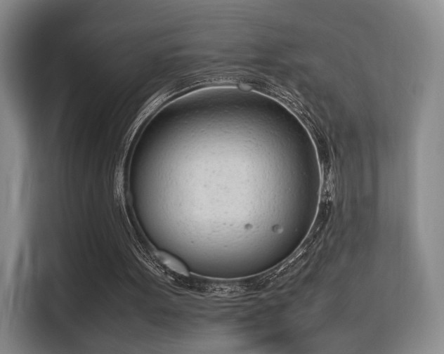 X0000115760099200911201206