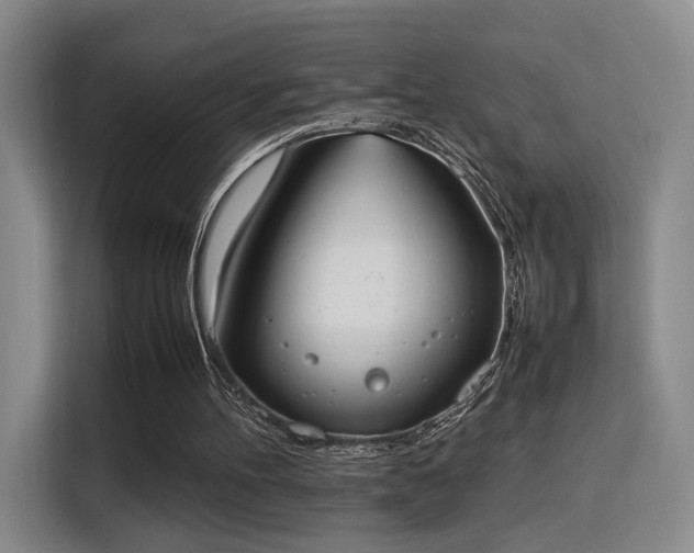 X0000115760100200911201206