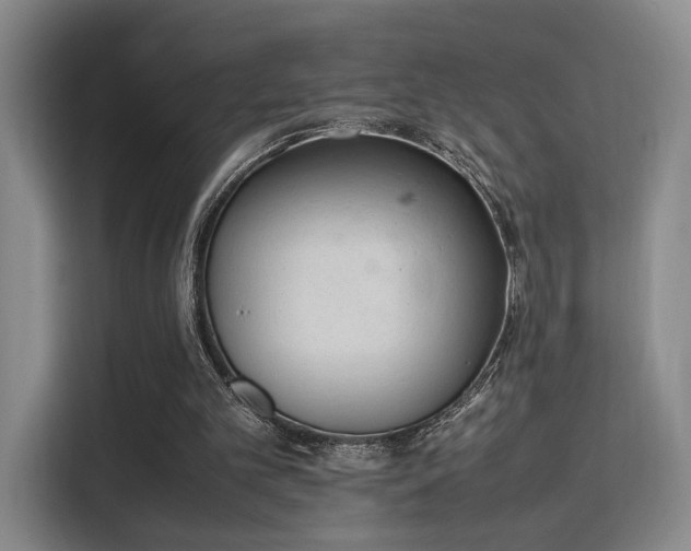 X0000115760101200911201206