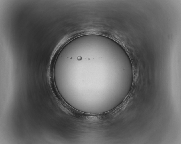 X0000115760102200911201206
