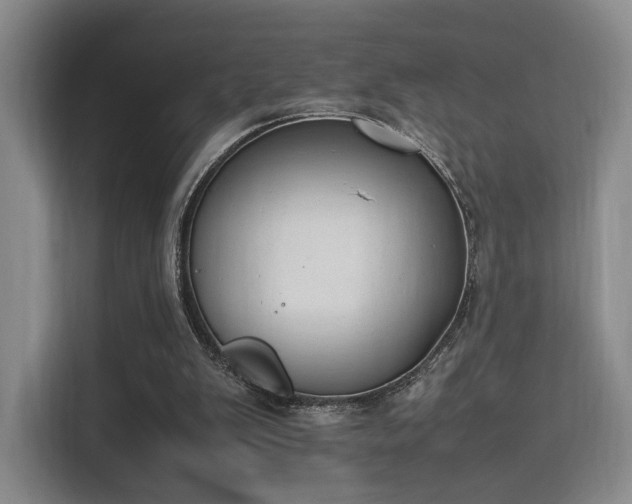 X0000115760103200911201206