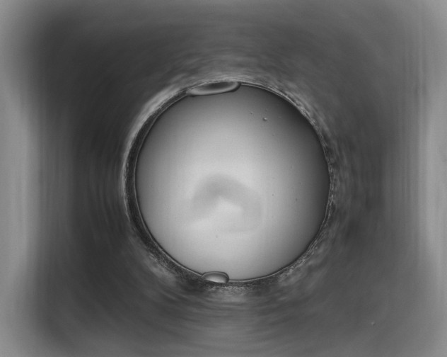X0000115760104200911201206