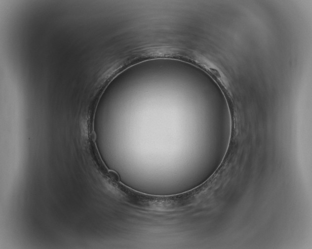 X0000115760105200911201206