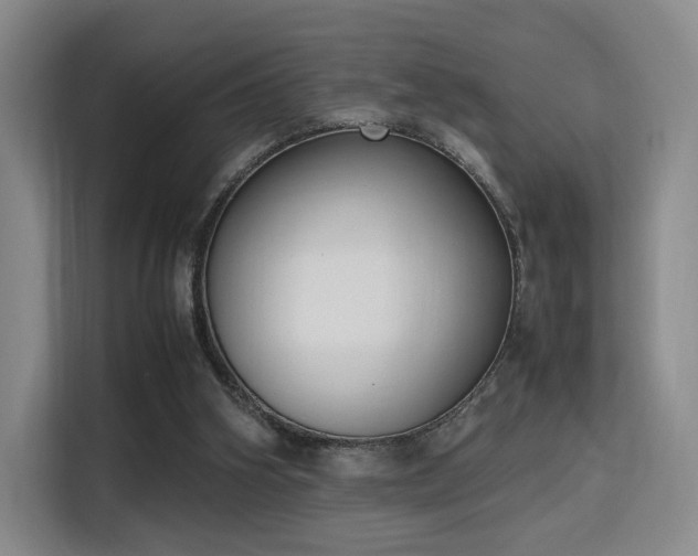 X0000115760106200911201206