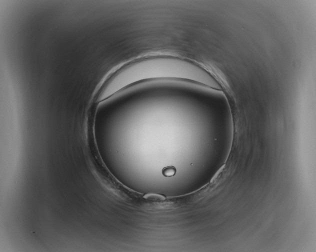 X0000115760108200911201206