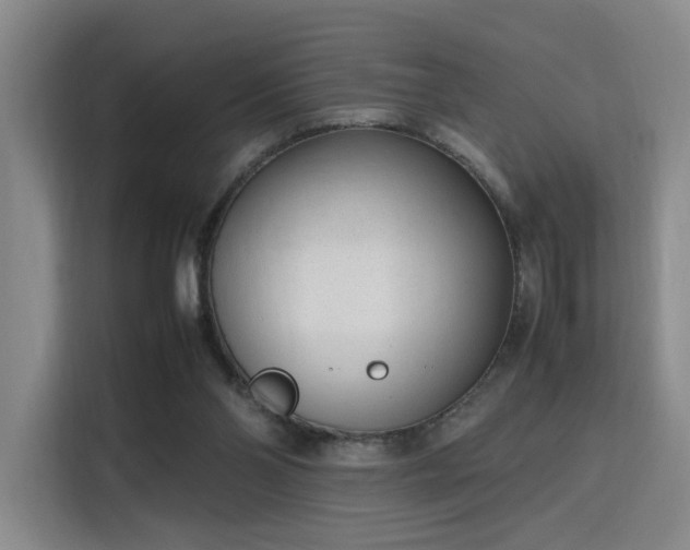 X0000115760110200911201206