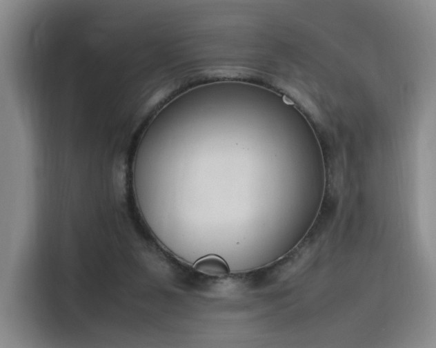 X0000115760111200911201206