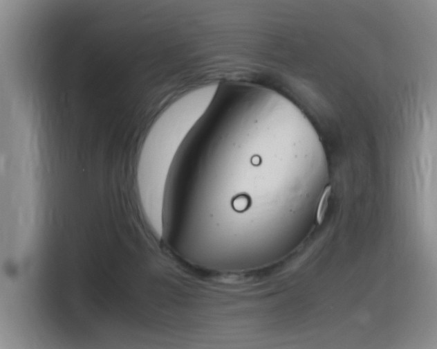 X0000115760121200911201206