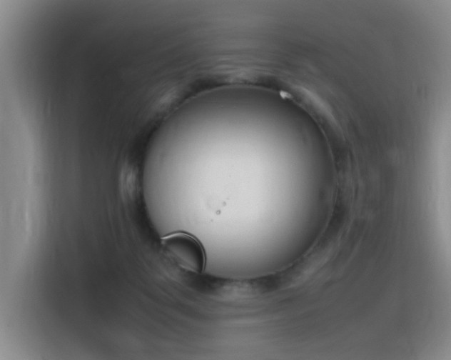 X0000115760123200911201206