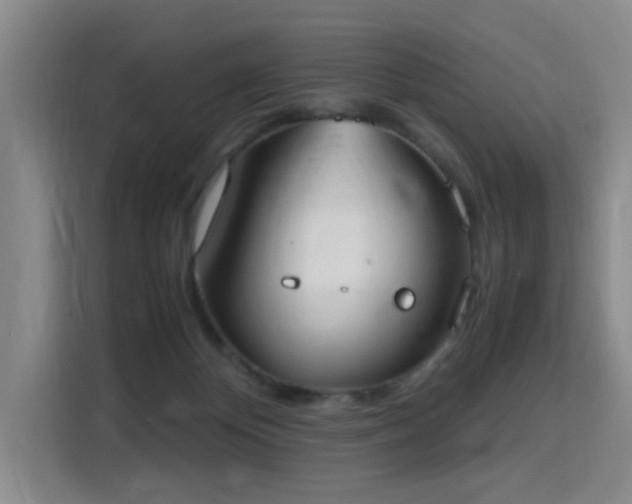 X0000115760124200911201206