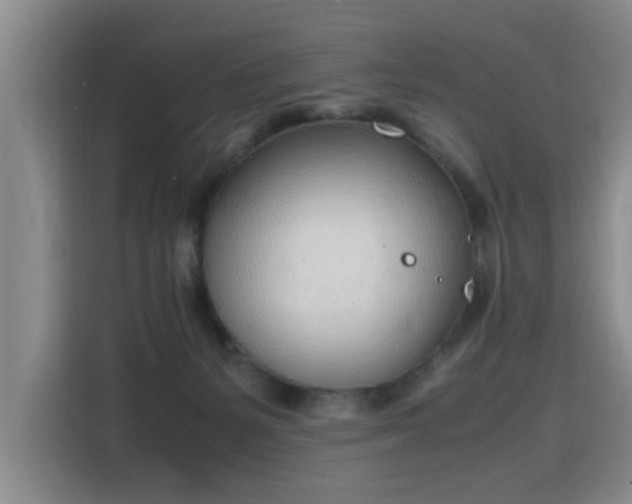 X0000115760127200911201206
