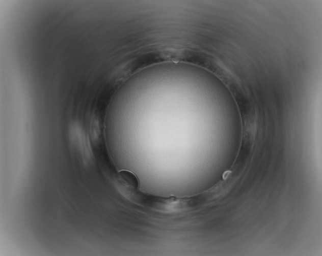 X0000115760130200911201206