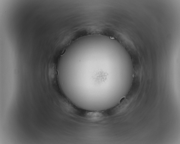 X0000115760133200911201206