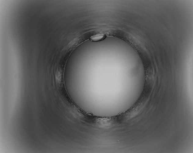 X0000115760139200911201206