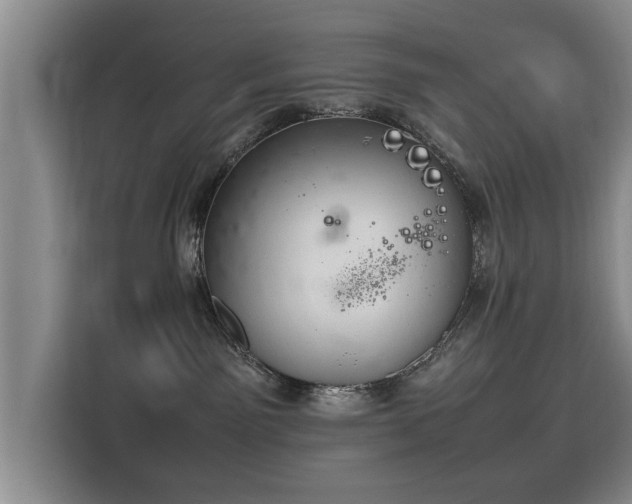X0000115760141200911201206