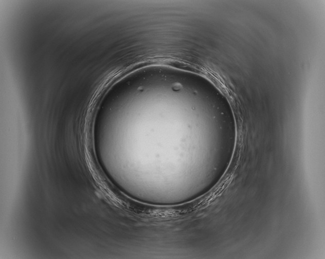 X0000115760145200911201205