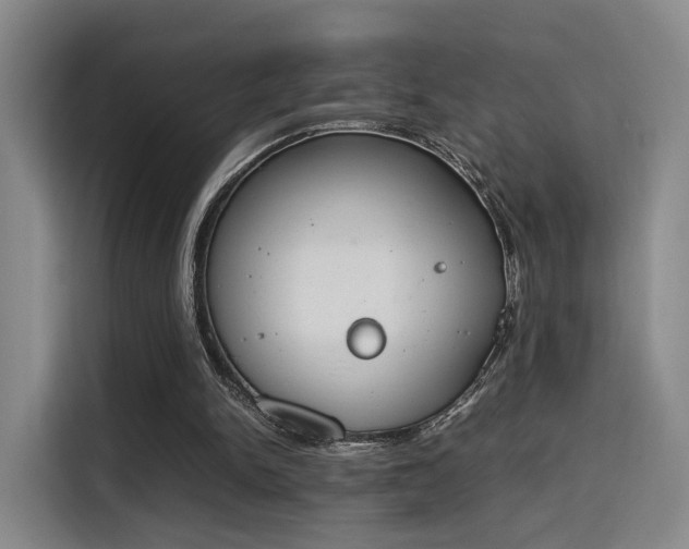 X0000115760150200911201205