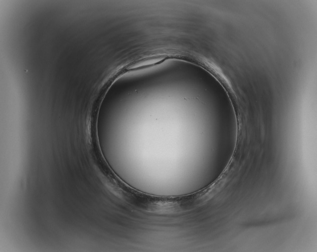X0000115760154200911201205
