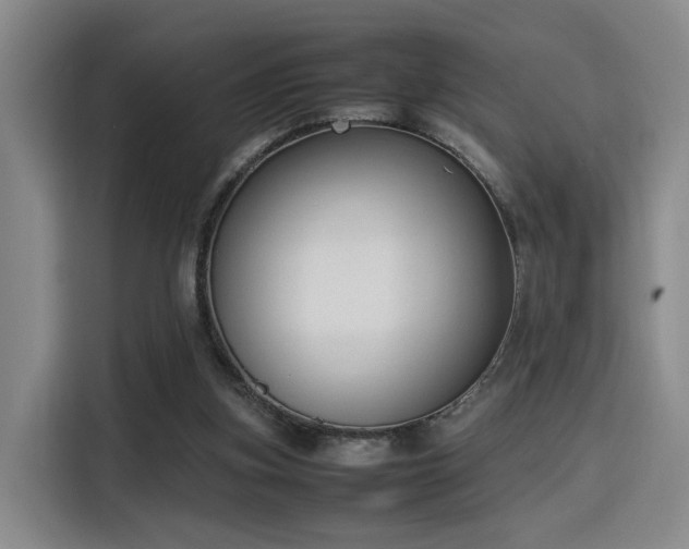 X0000115760155200911201205