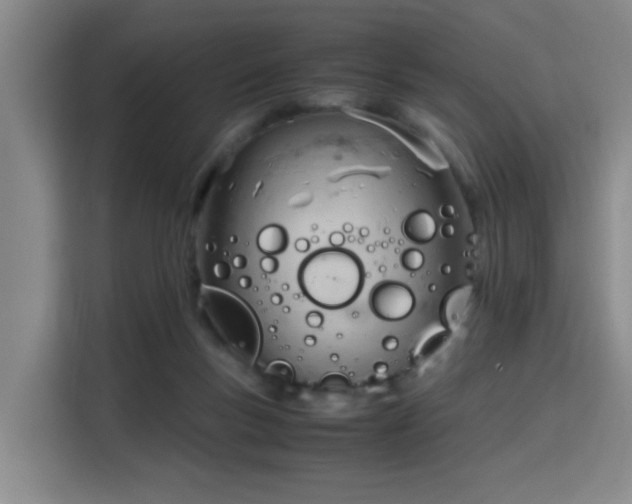 X0000115760167200911201205