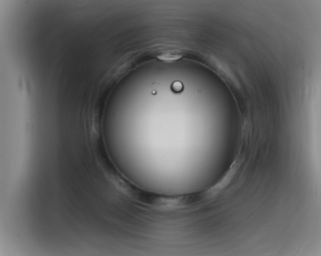 X0000115760170200911201205